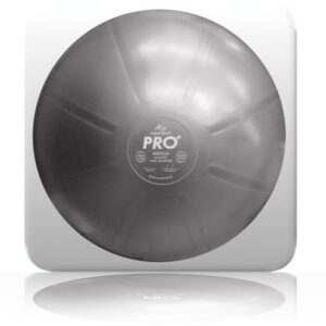 mediball pro plus 75cm silver